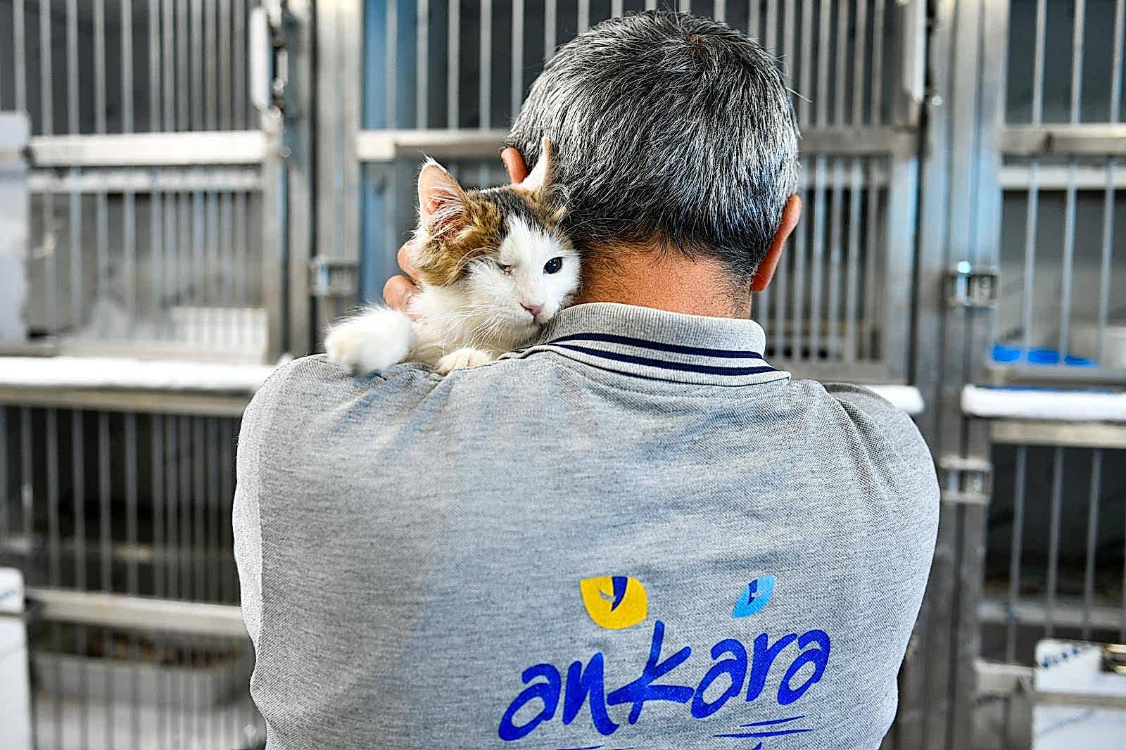 SAHİPSİZ CAN DOSTUMUZ :)