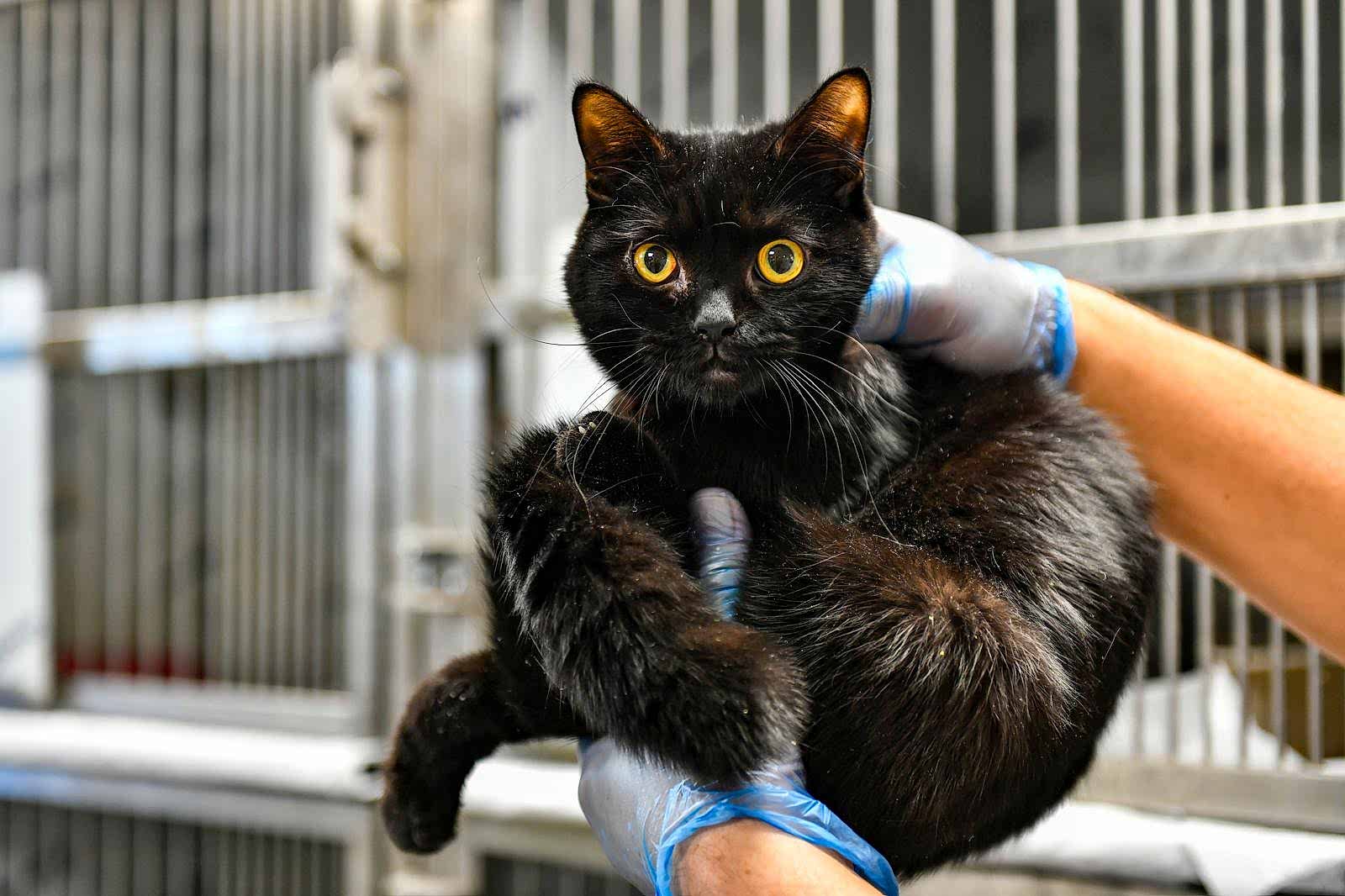 SAHİPSİZ CAN DOSTUMUZ :)