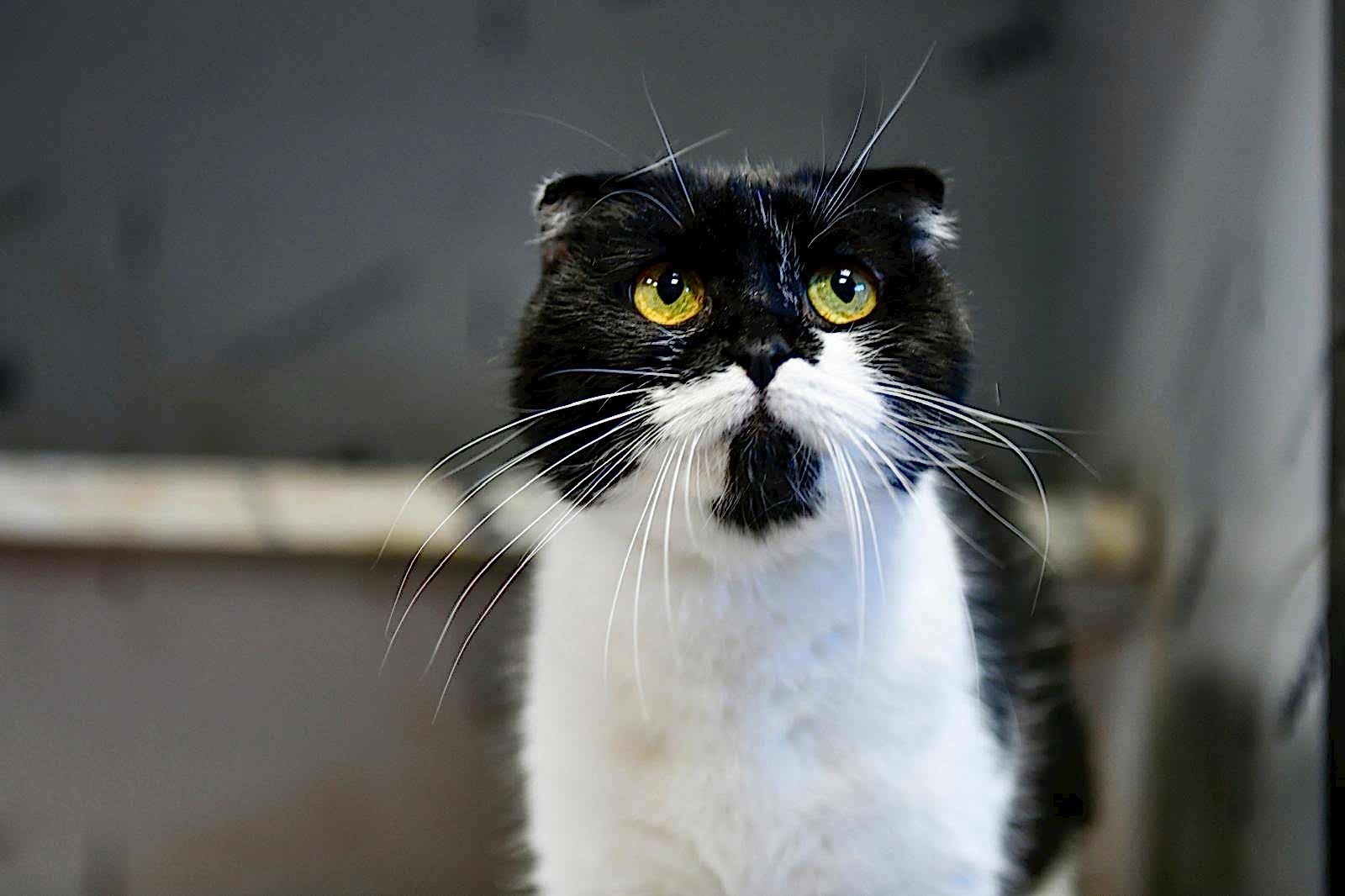 SAHİPSİZ CAN DOSTUMUZ :)